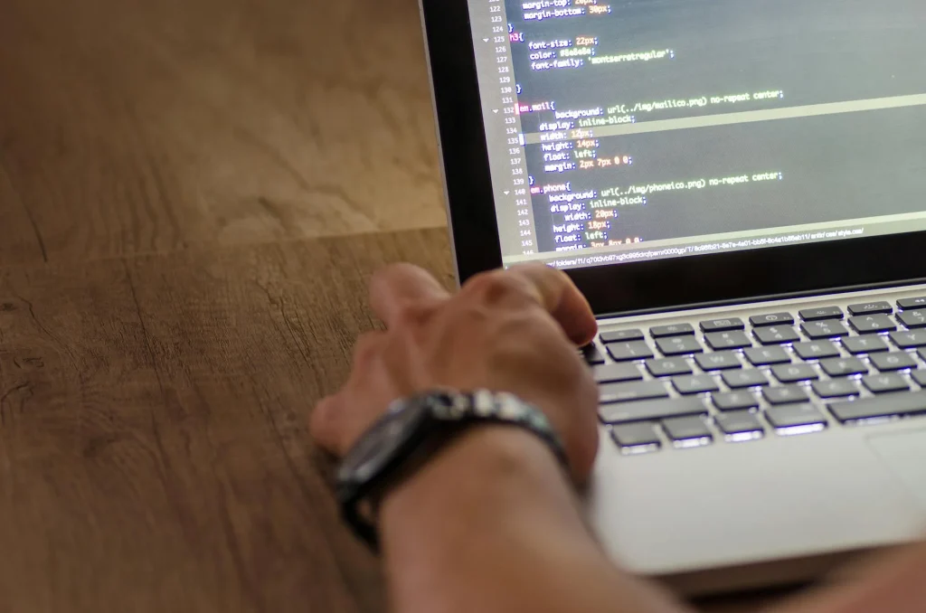 Choosing Web Agency Professional Web Developer