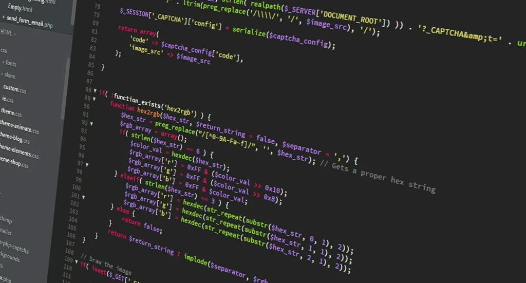 Web Developer Coding Professional Service