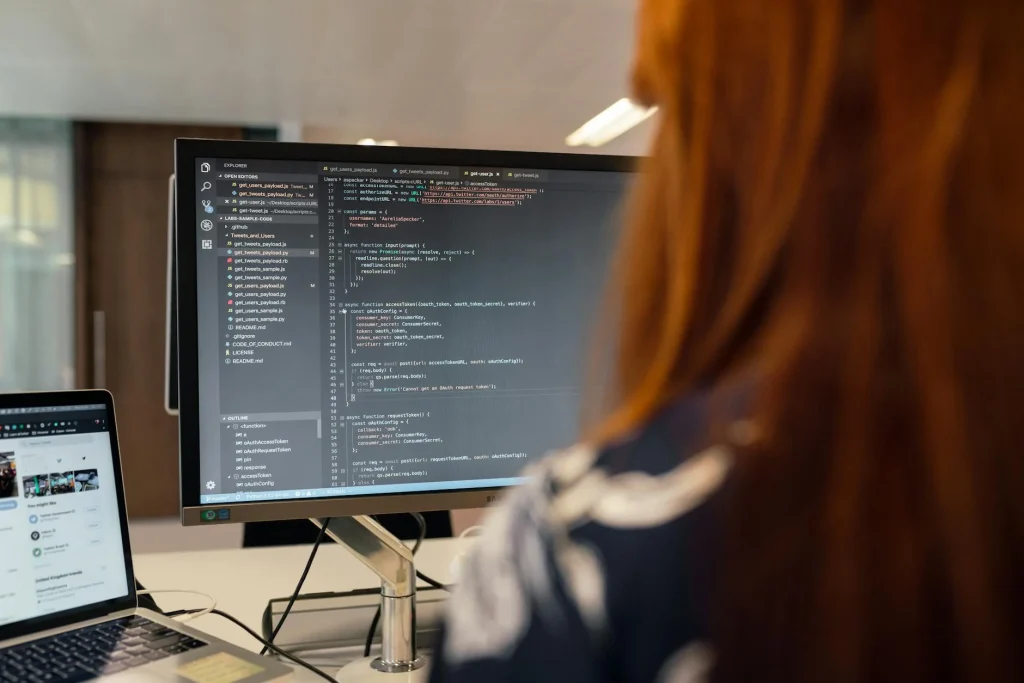 Web Development Professional Service
